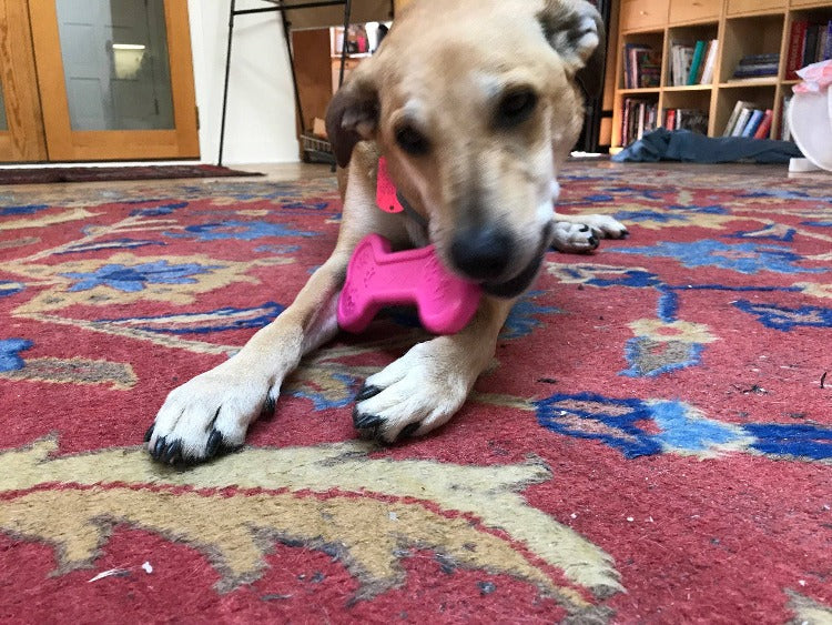 Bone eChew Ultra Durable Nylon Dog Chew Toy, 7" Pink