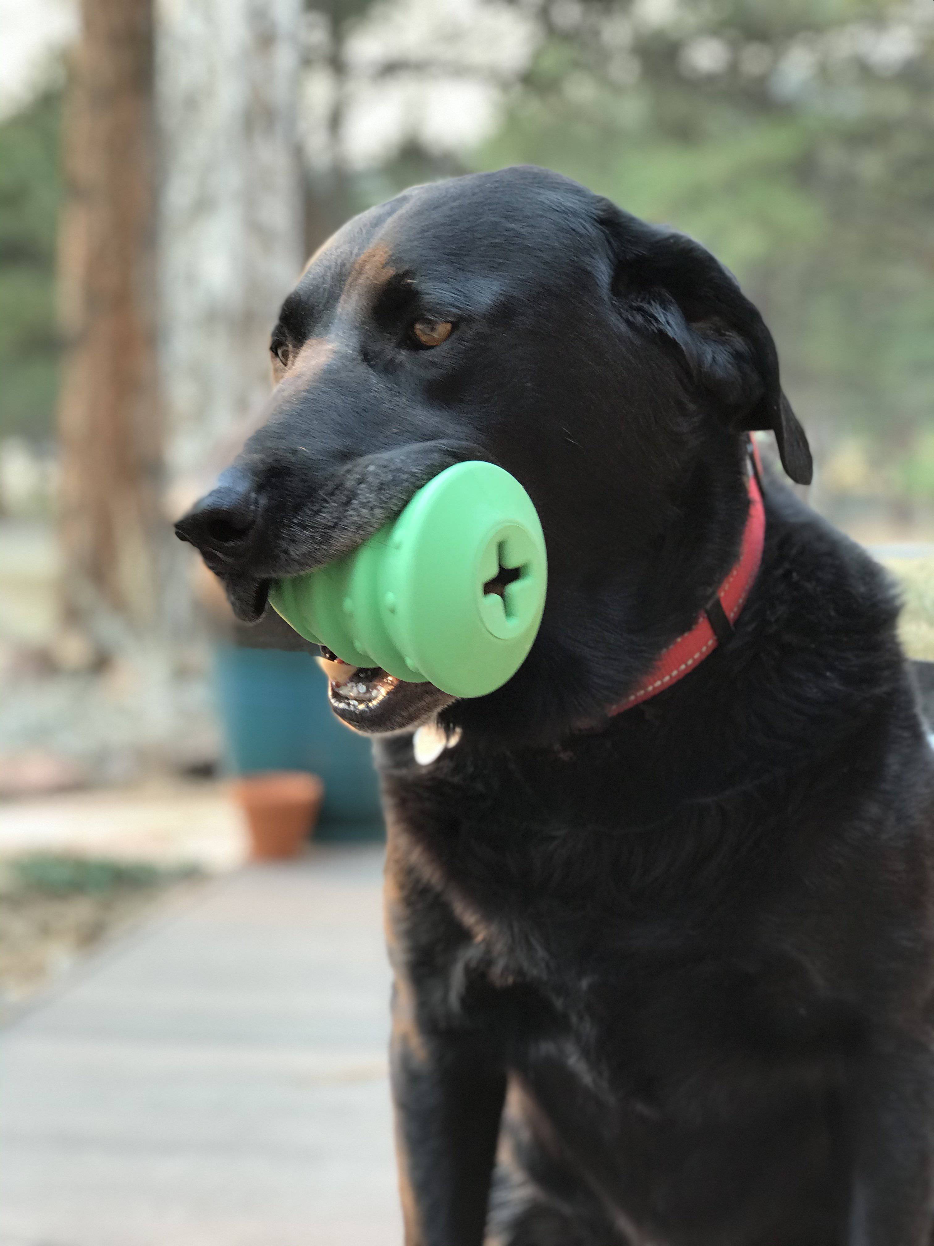 Christmas Tree Treat Dispenser for Large Dogs – Natural Rubber, Green