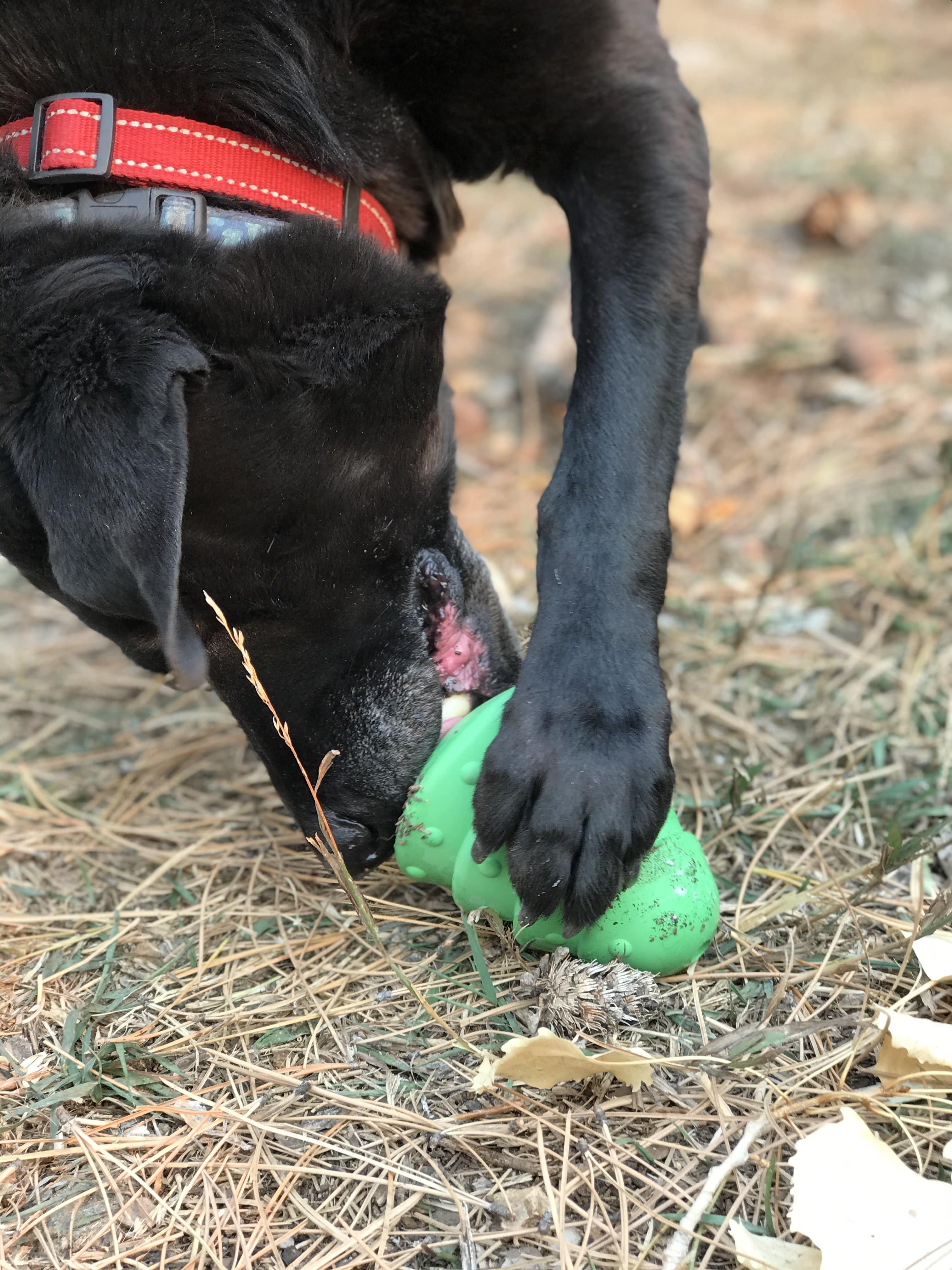 Christmas Tree Treat Dispenser for Large Dogs – Natural Rubber, Green