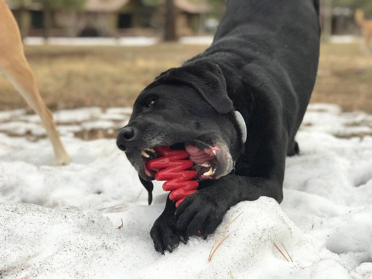 Christmas Tree Ultra Durable Nylon Dog Chew Toy with Treat Pockets