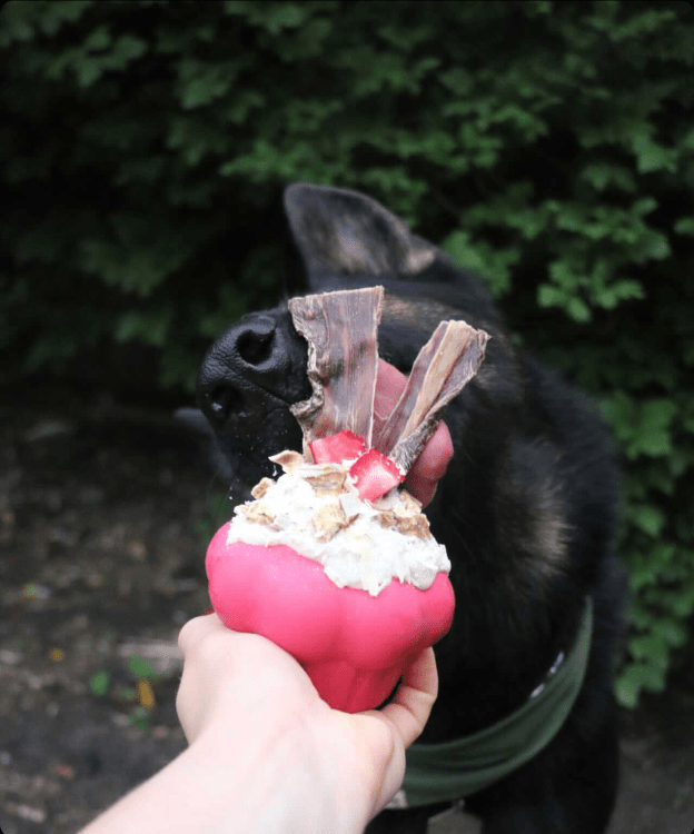 Cupcake Rubber Dog Chew Toy and Treat Dispenser