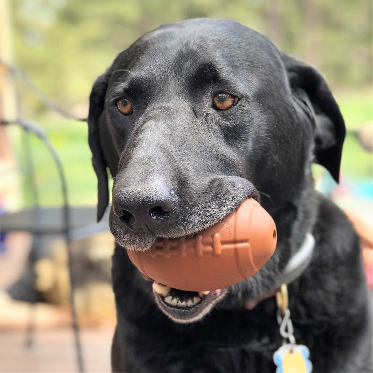 Football-Shaped Natural Rubber Dog Chew Toy & Treat Dispenser, Brown