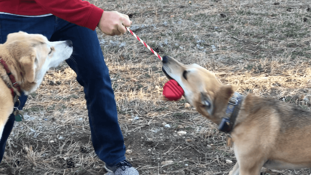 Heart on a String Large Dog Chew and Tug Toy – Red Rubber, Rope Handle