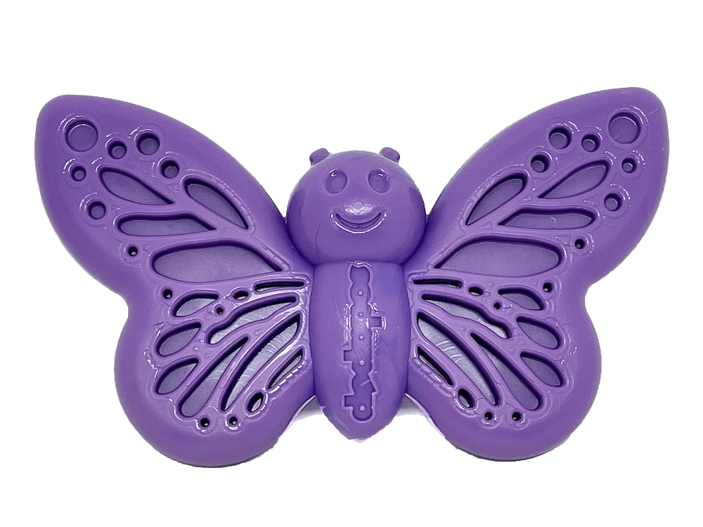 Butterfly 2-in-1 Chew and Enrichment Toy for Dogs, Nylon