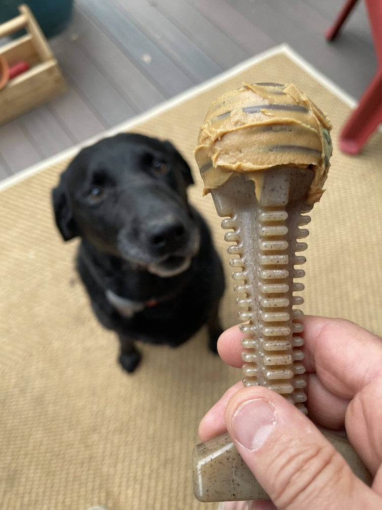 Honey Bone Dental Tower Ultra Durable Nylon Dog Chew Toy