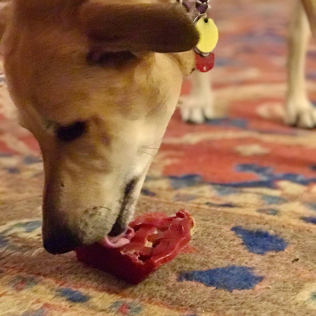 Cherry Pie Ultra Durable Nylon Dog Chew Toy & Treat Holder
