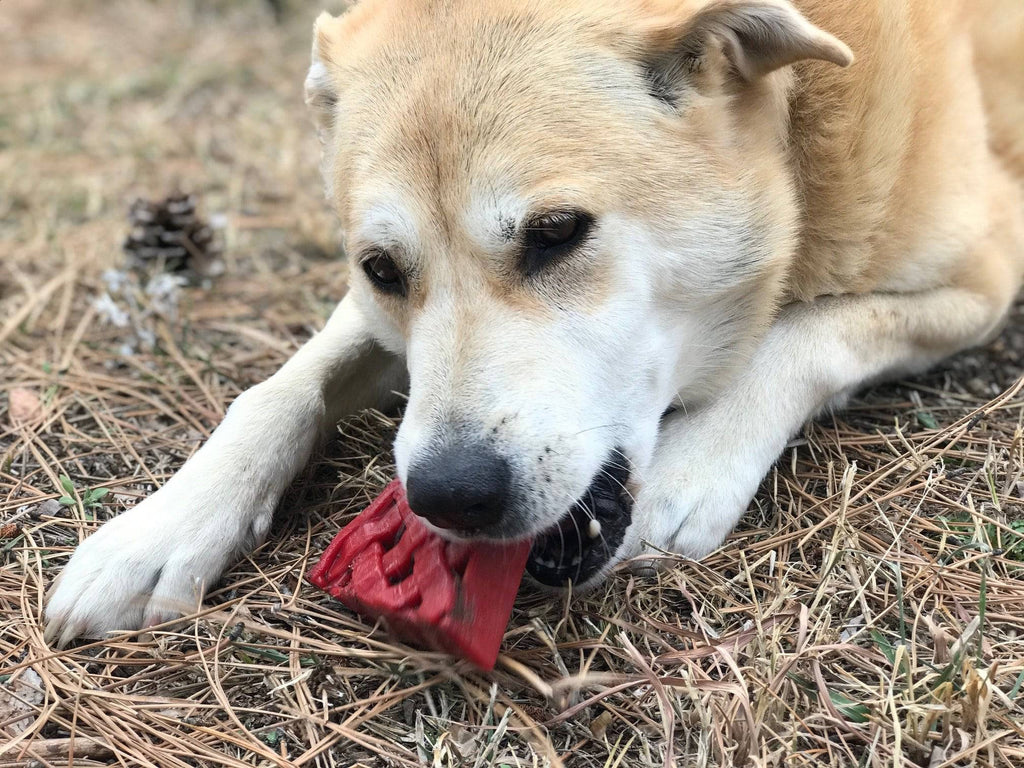 Cherry Pie Ultra Durable Nylon Dog Chew Toy & Treat Holder