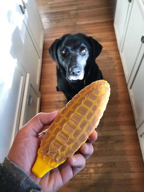Corn on the Cob Nylon Dog Chew Toy for Power Chewers, 7"