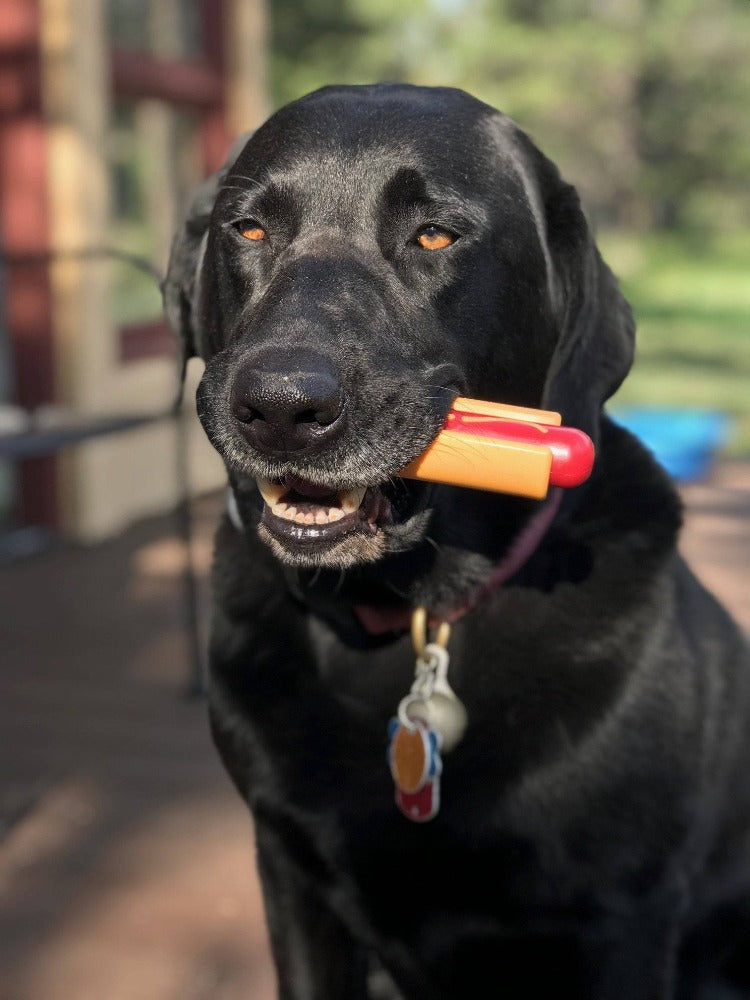 Hot Dog Nylon Chew Toy for Aggressive Chewers, 6.25"