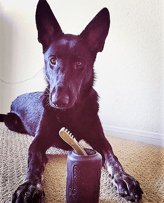 Magnum Can Toy Durable Rubber Dog Chew & Treat Dispenser