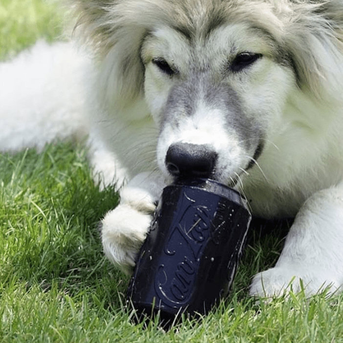 Magnum Can Toy Durable Rubber Dog Chew & Treat Dispenser