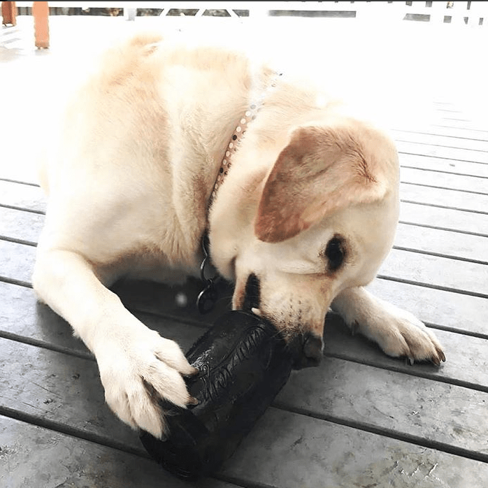 Magnum Can Toy Durable Rubber Dog Chew & Treat Dispenser