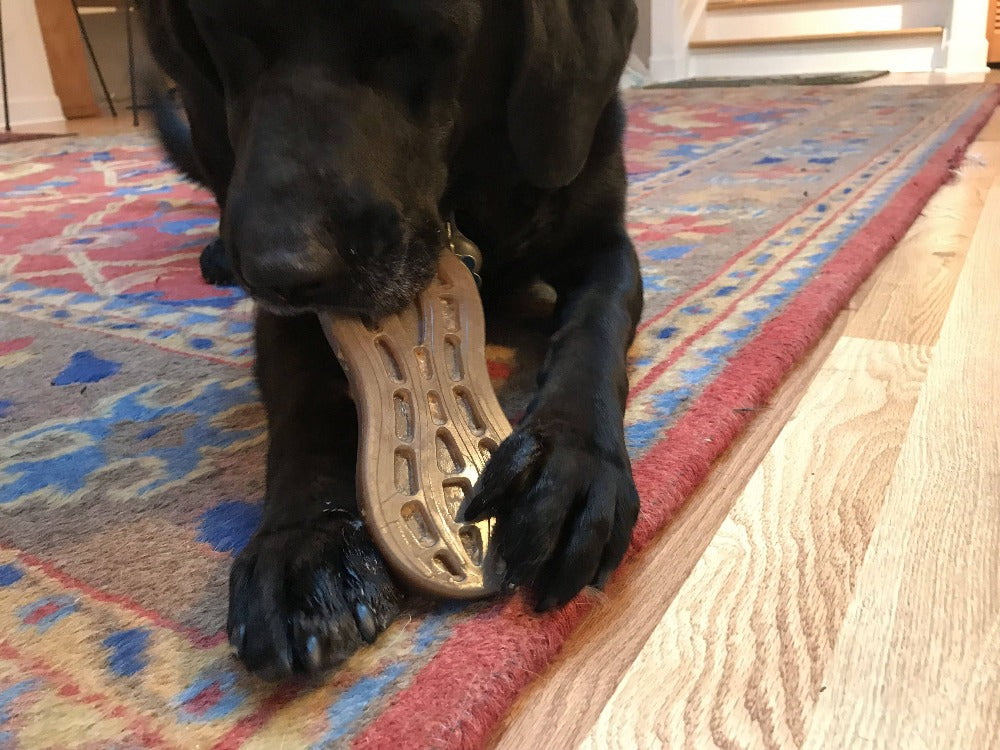 Peanut Nylon Dog Chew Toy for Aggressive Chewers, Large Breeds