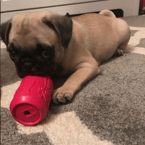 Puppy Can Toy Durable Rubber Chew & Treat Dispenser – Pink