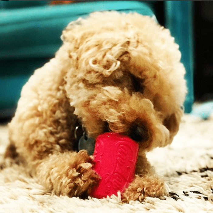 Puppy Can Toy Durable Rubber Chew & Treat Dispenser – Pink