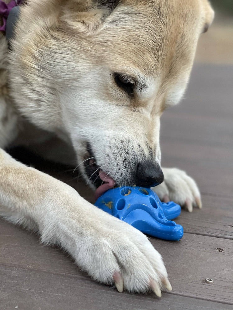 Starfish Ultra Durable Nylon Dog Chew Toy with Treat Pockets