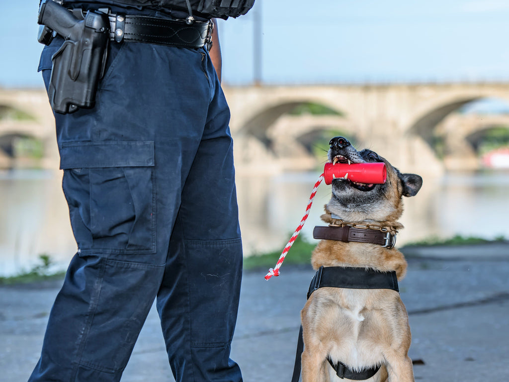 USA-K9 Firecracker Durable Rubber Floating Dog Training Dummy