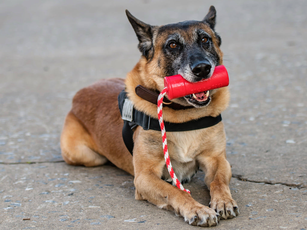 USA-K9 Firecracker Durable Rubber Floating Dog Training Dummy