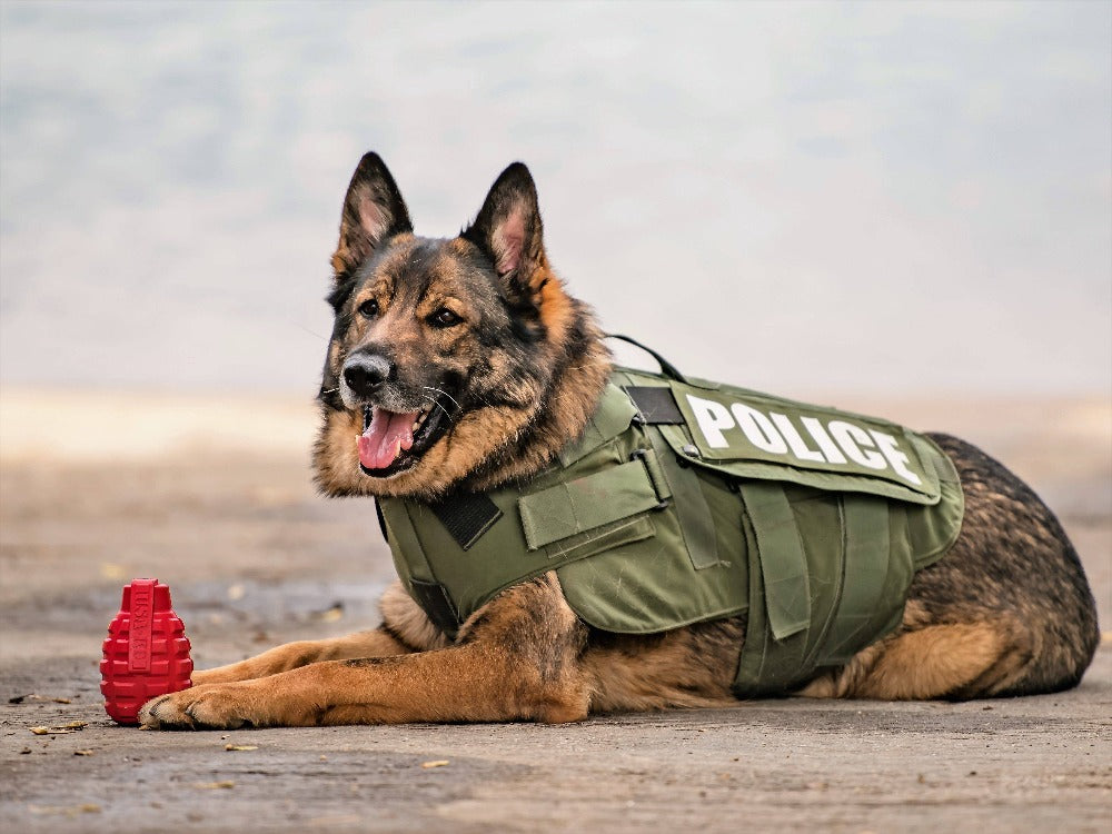 USA-K9 Grenade Ultra-Durable Rubber Dog Chew Toy