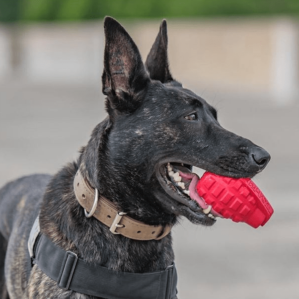USA-K9 Grenade Durable Dog Chew Toy & Treat Dispenser
