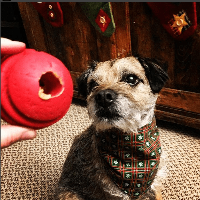 USA-K9 Stars and Stripes Rubber Chew Toy for Large Dogs