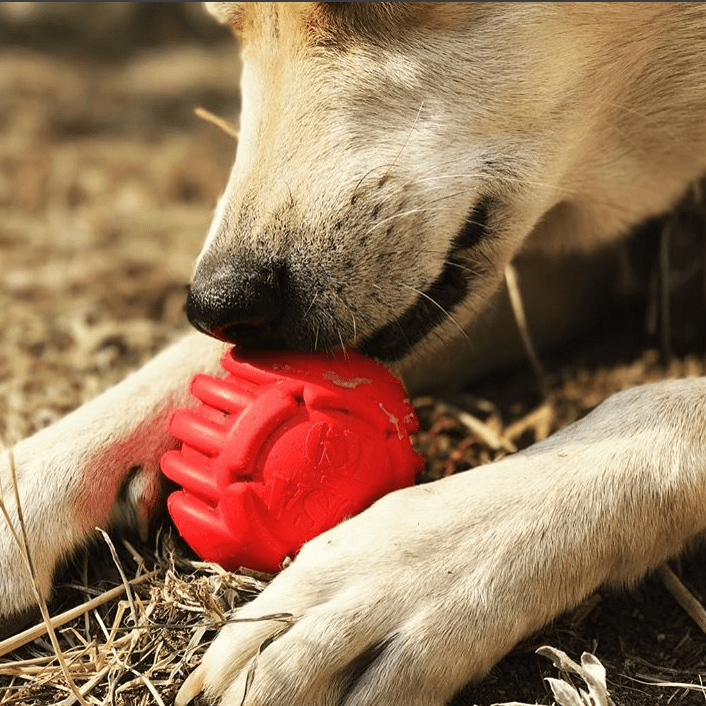 USA-K9 Stars and Stripes Rubber Chew Toy for Large Dogs