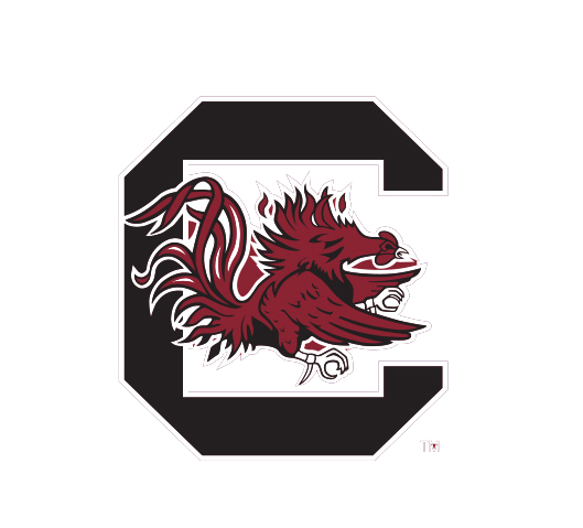 University of South Carolina Cocky Knottie Plush Dog Toy
