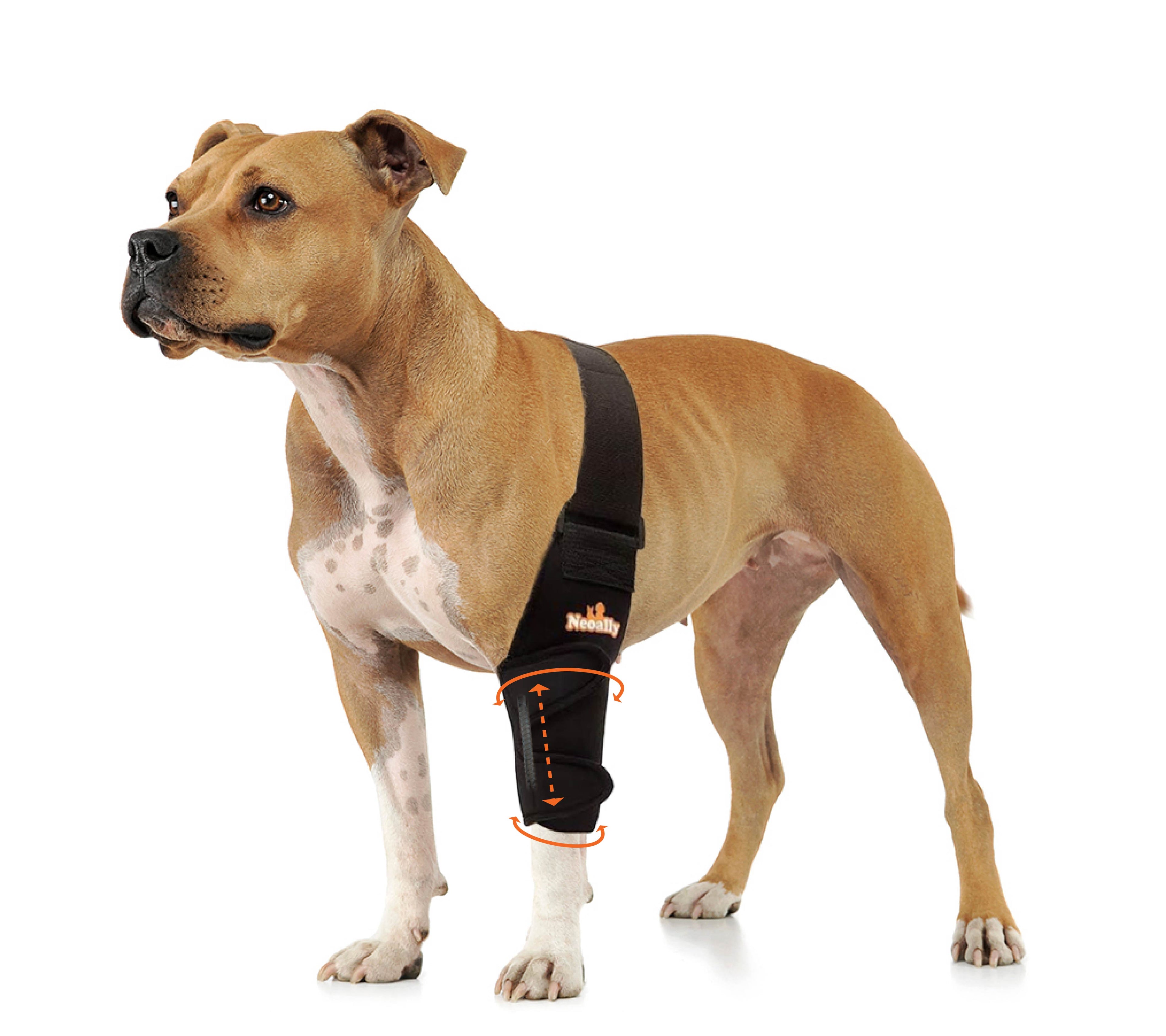 NeoAlly Elbow and Shoulder Brace with Spring Inserts for Pets