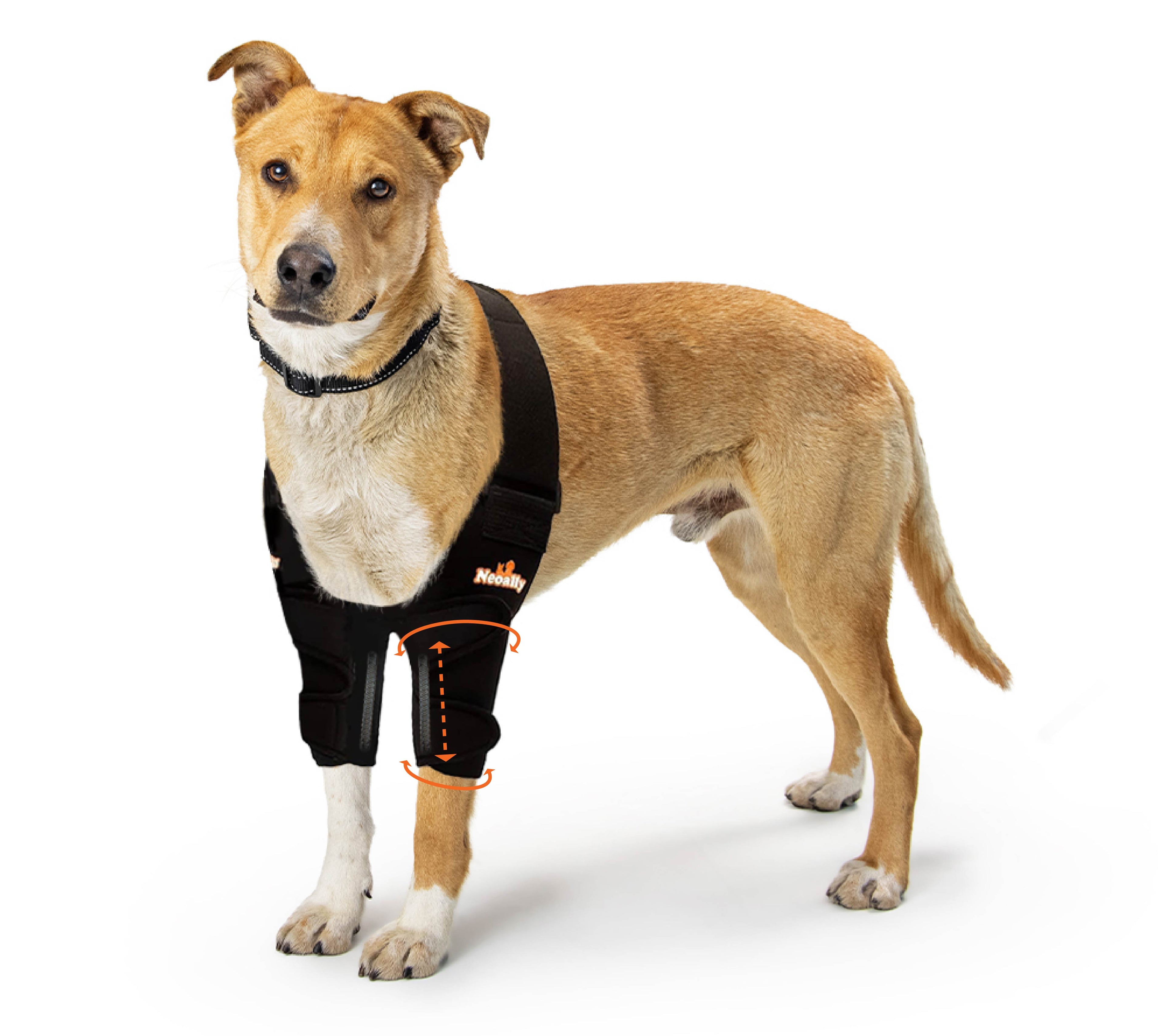 NeoAlly Elbow and Shoulder Brace with Spring Inserts for Pets