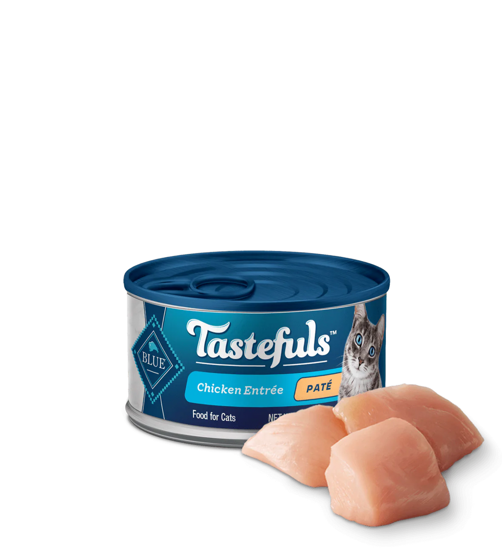 Chicken Paté Wet Cat Food with Natural Ingredients
