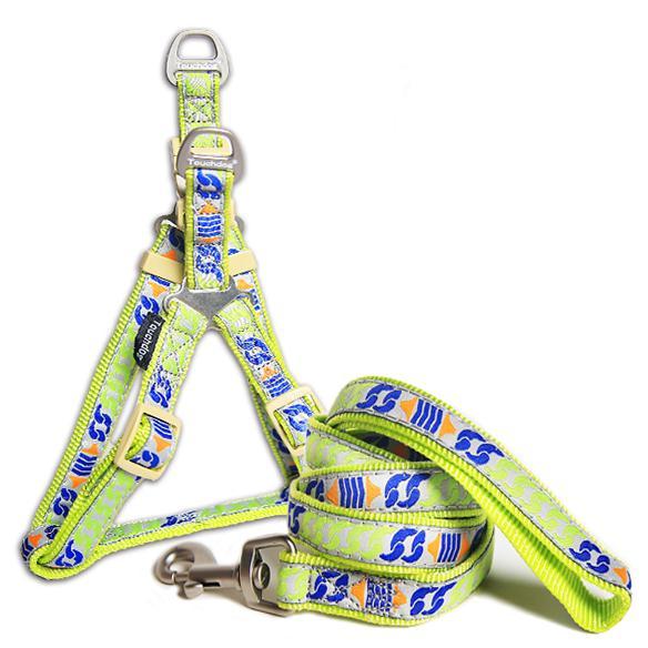 Touchdog Tough-Stitched Embroidered Dog Harness & Leash Set