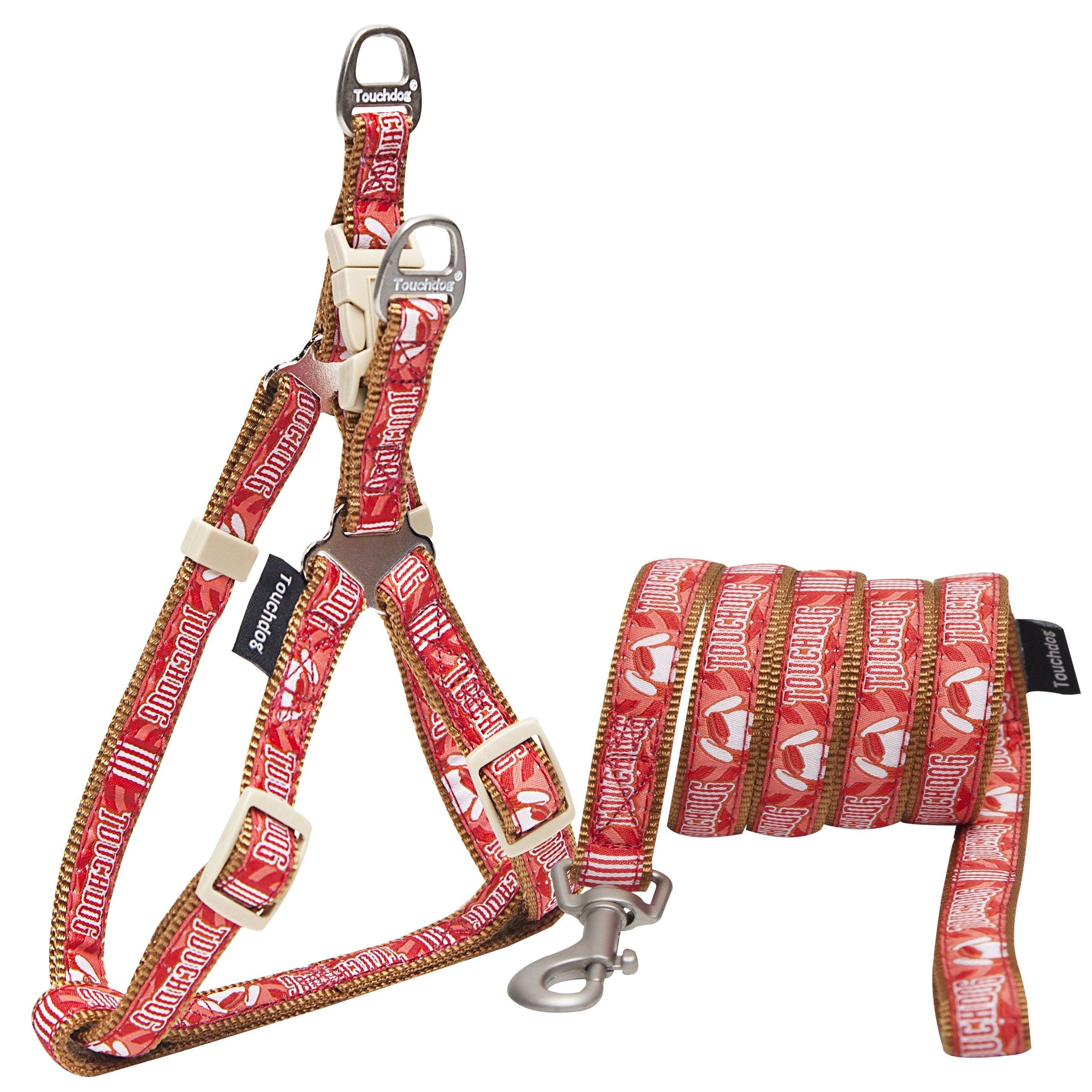 Touchdog Embroidered Harness and Leash Set, Adjustable Sizes