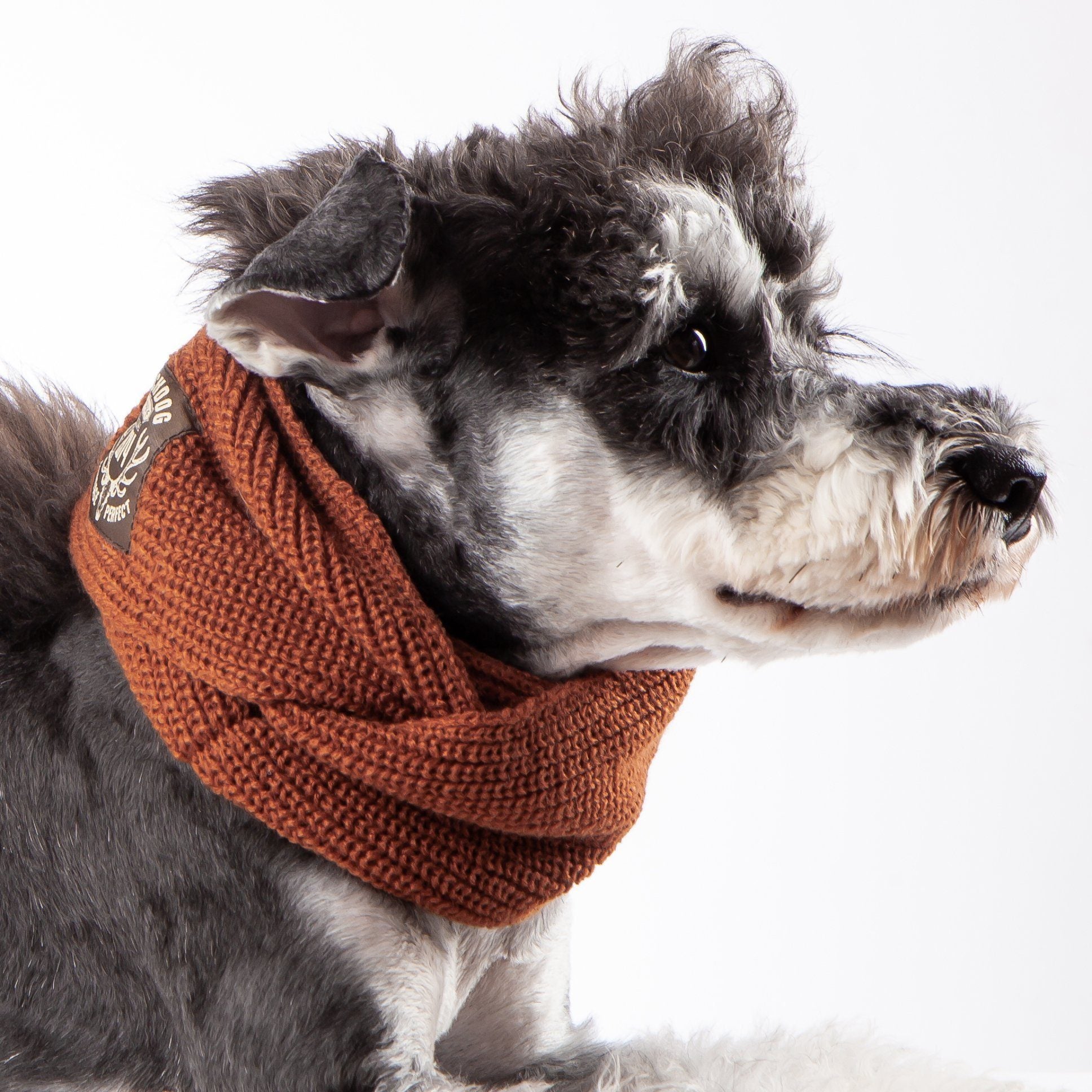 Touchdog Heavy Knit Winter Dog Scarf, One Size