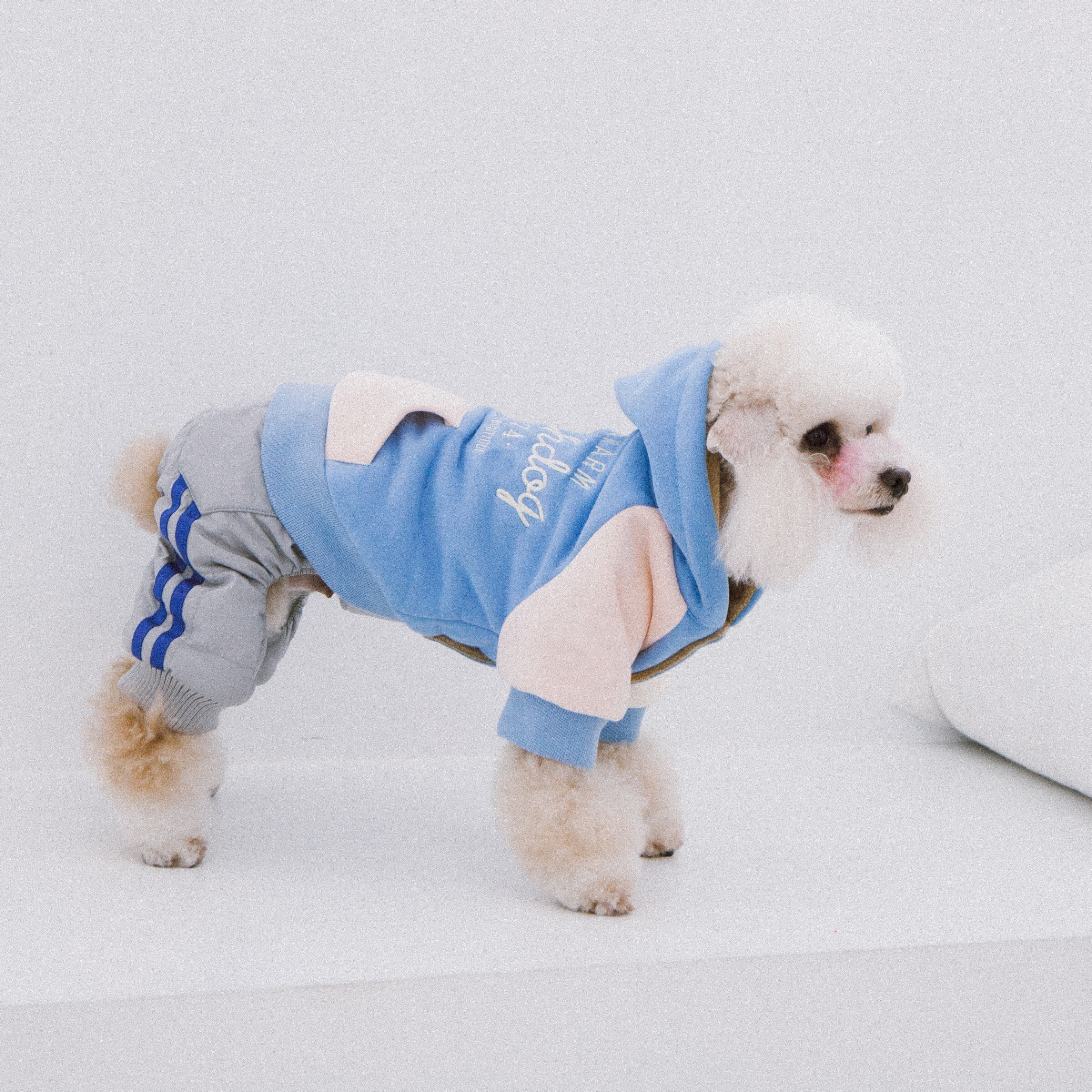 Cotton Dog Hoodie with Polar Fleece Lining
