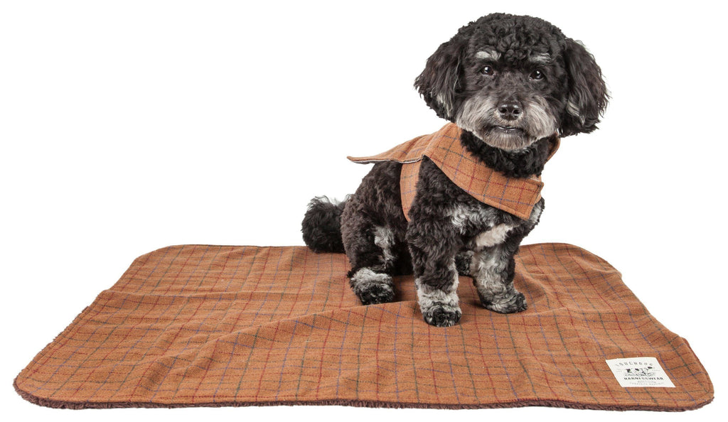 2-in-1 Windowpane Plaid Dog Jacket & Reversible Mat Set