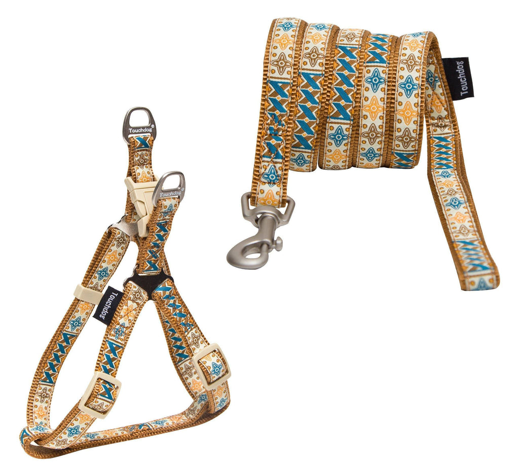 Designer Embroidered Dog Leash and Adjustable Harness Set