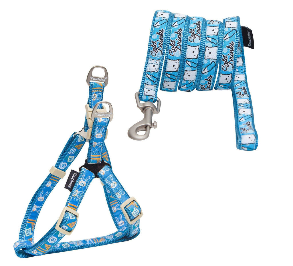 Designer Embroidered Dog Leash and Adjustable Harness Set