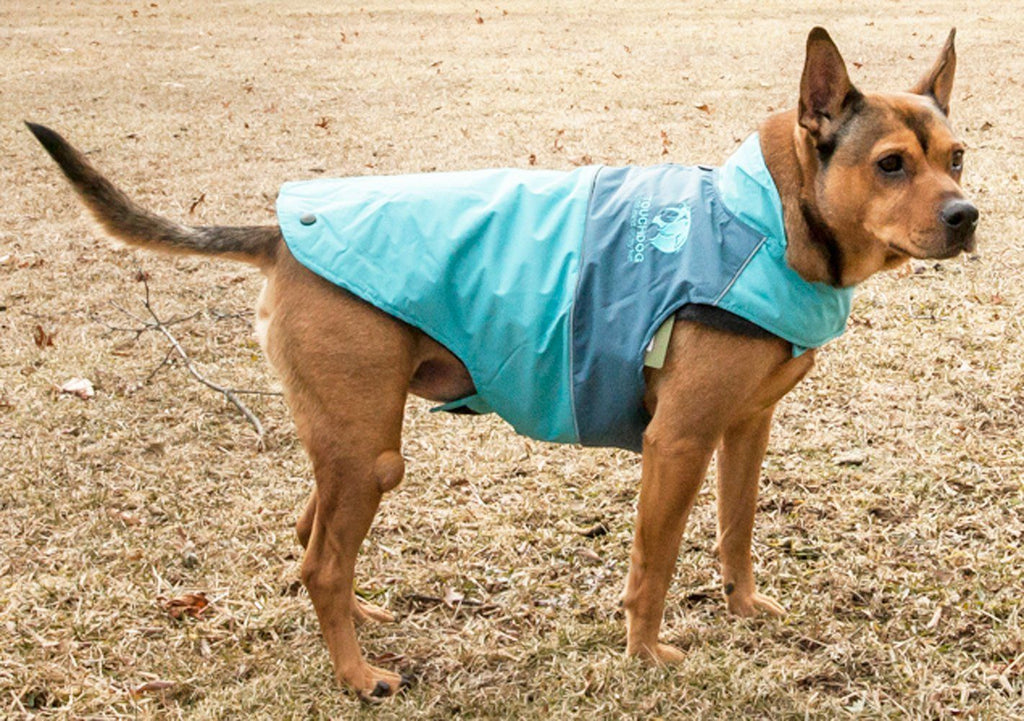 2-in-1 Waterproof Dog Jacket with Removable Fleece Layer