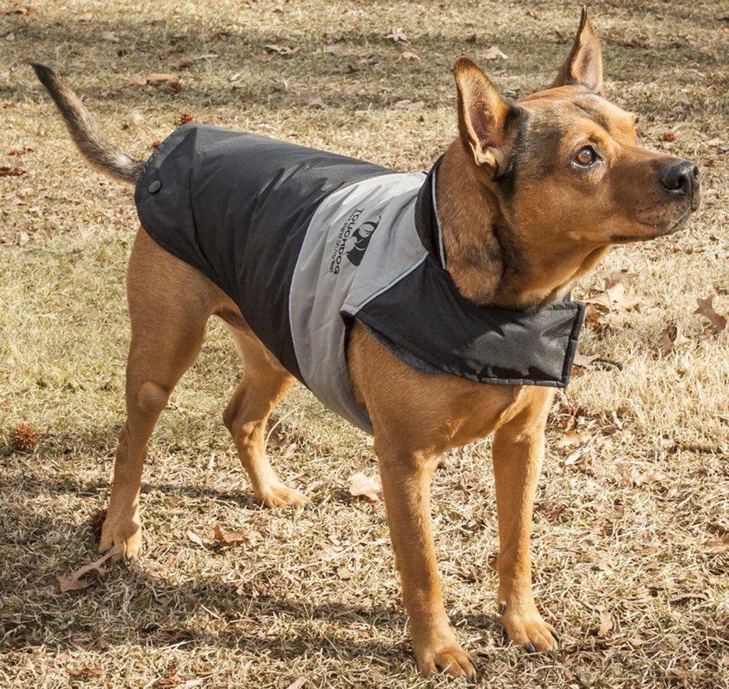 2-in-1 Waterproof Dog Jacket with Removable Fleece Layer