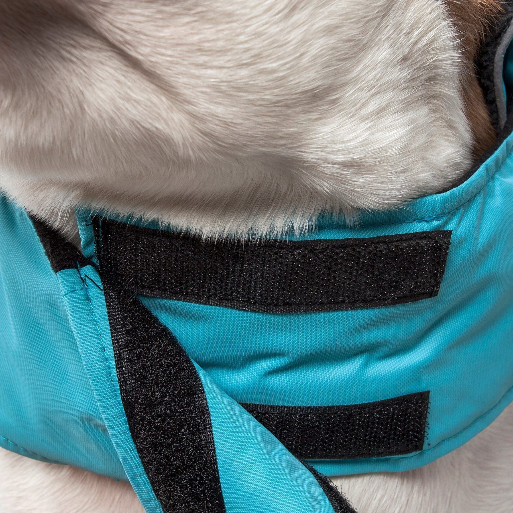 2-in-1 Waterproof Dog Jacket with Removable Fleece Layer