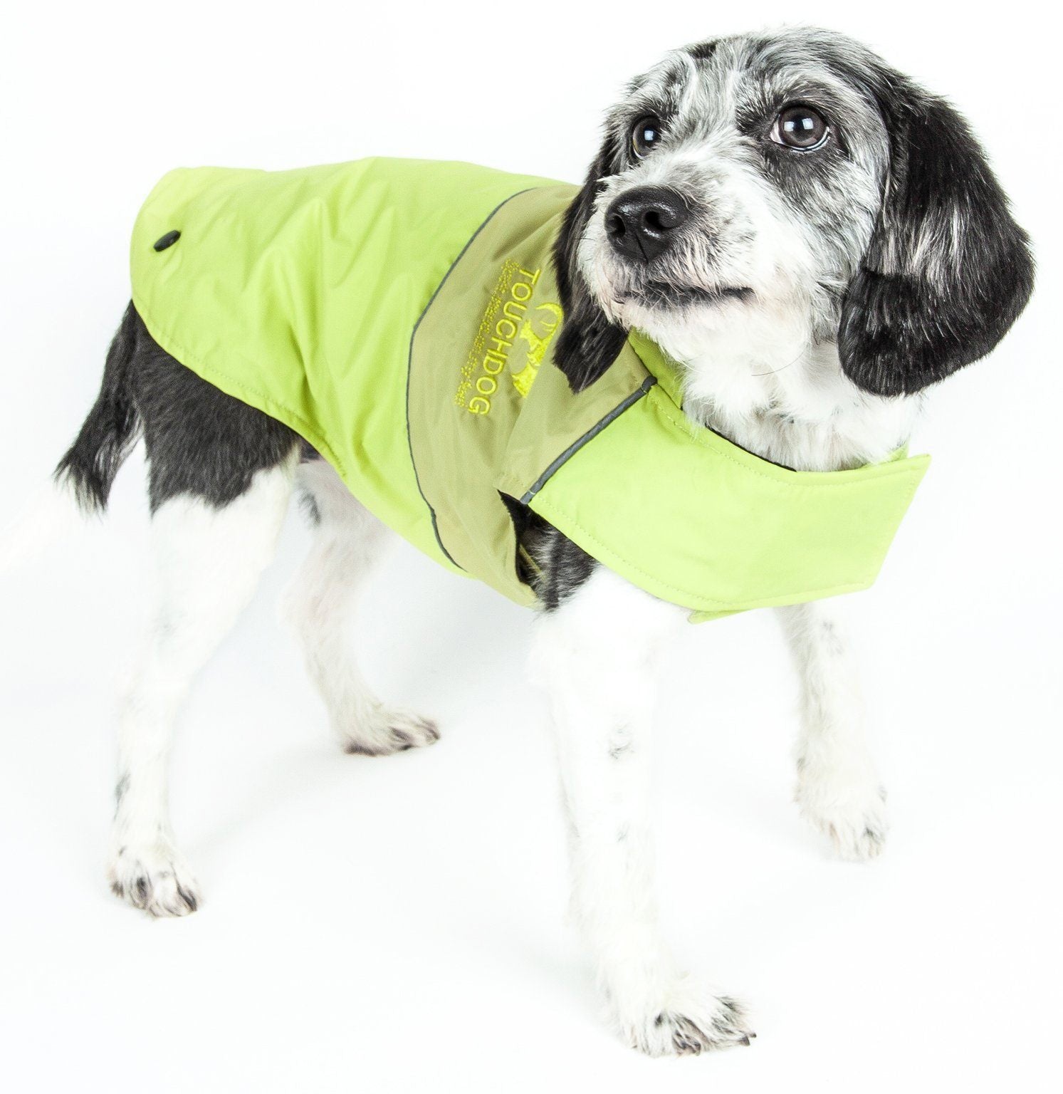 2-in-1 Waterproof Dog Jacket with Removable Fleece Layer