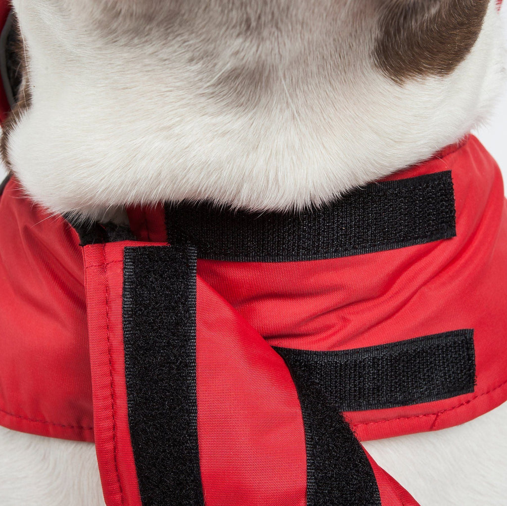 2-in-1 Waterproof Dog Jacket with Removable Fleece Layer