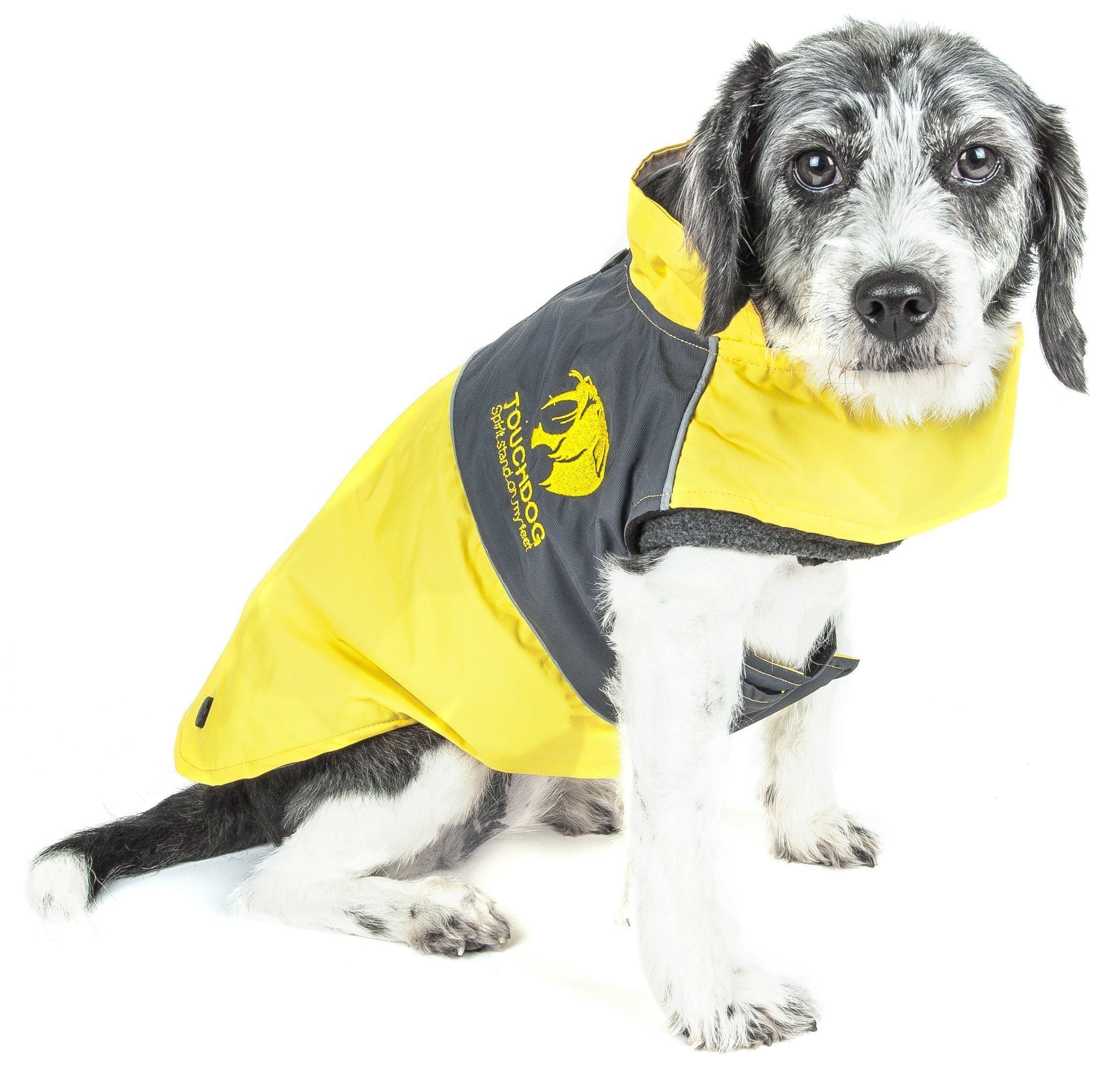2-in-1 Waterproof Dog Jacket with Removable Fleece Layer