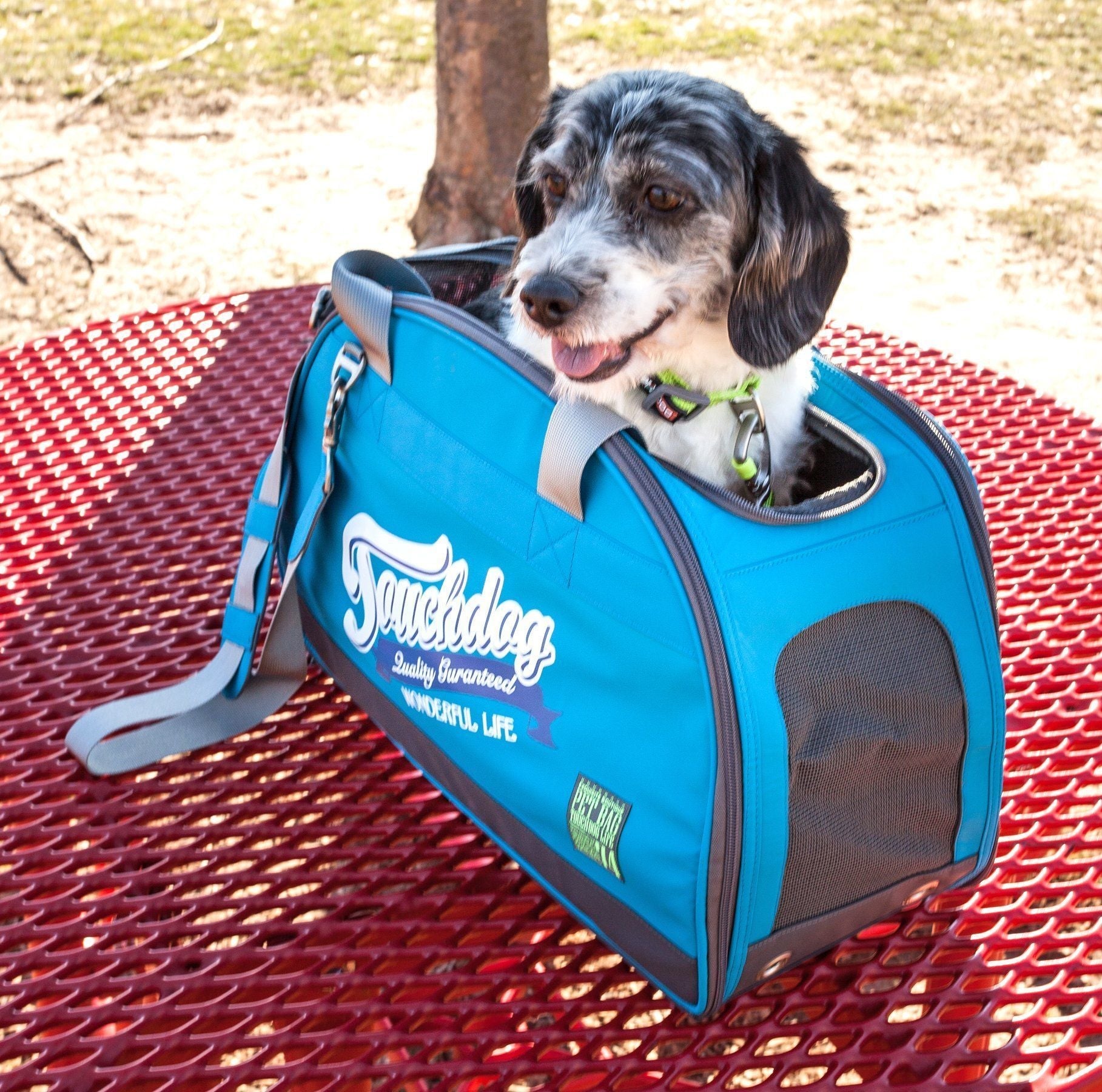 Airline-Approved Water-Resistant Dog Carrier, 18" x 10" x 14"