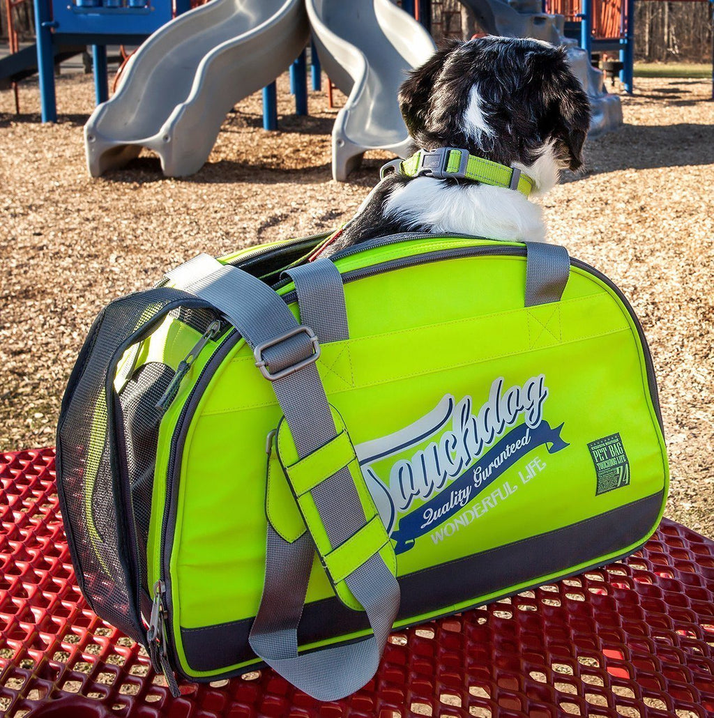 Airline-Approved Water-Resistant Dog Carrier, 18" x 10" x 14"