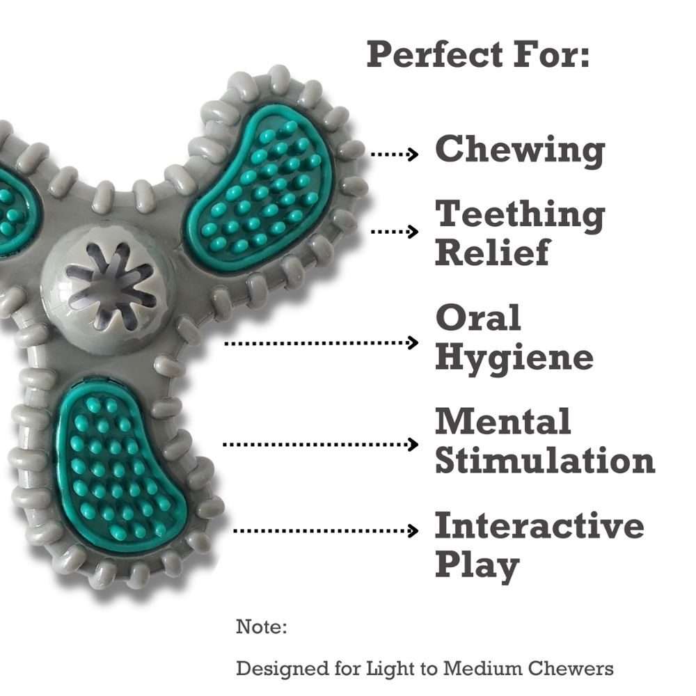 TPR Dental Spinner Dog Toy for Puppies and Moderate Chewers