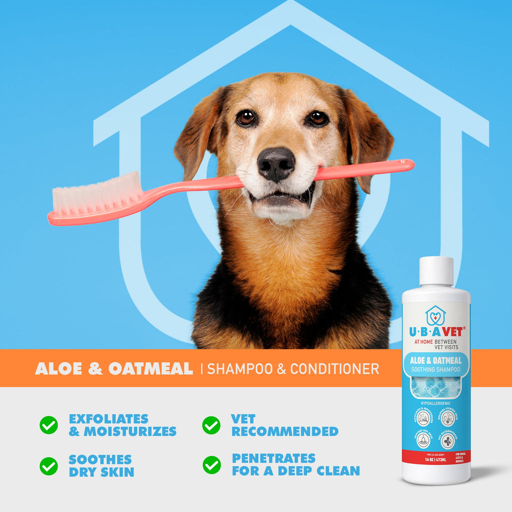 Aloe & Oatmeal Shampoo for Dogs & Cats, 16.9 fl oz