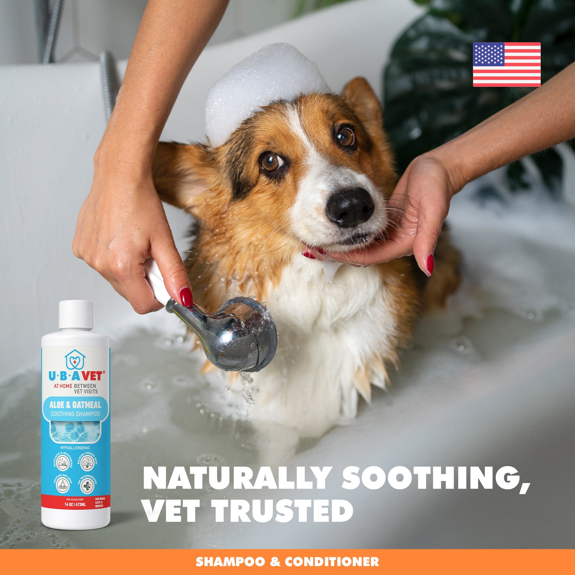 Aloe & Oatmeal Shampoo for Dogs & Cats, 16.9 fl oz