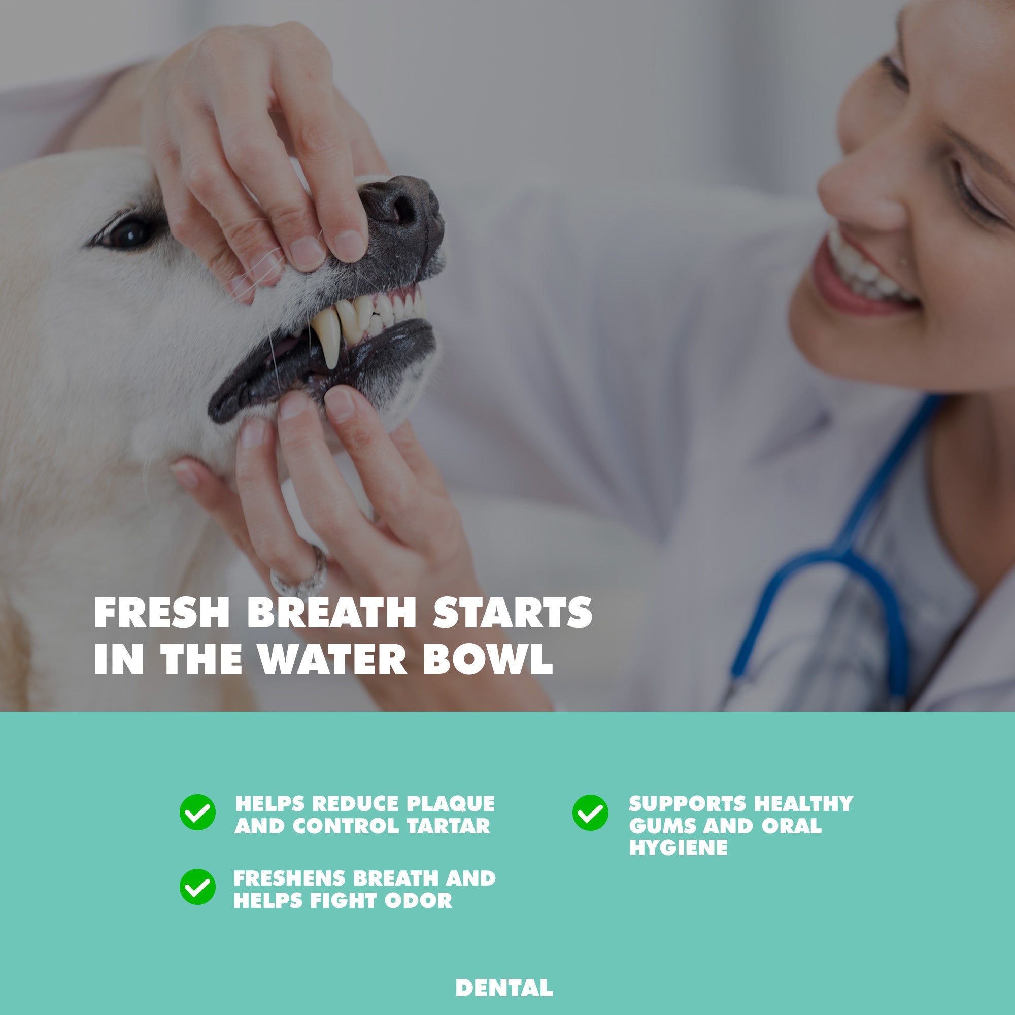 Dental Care Water Additive for Dogs & Cats, 16 fl oz