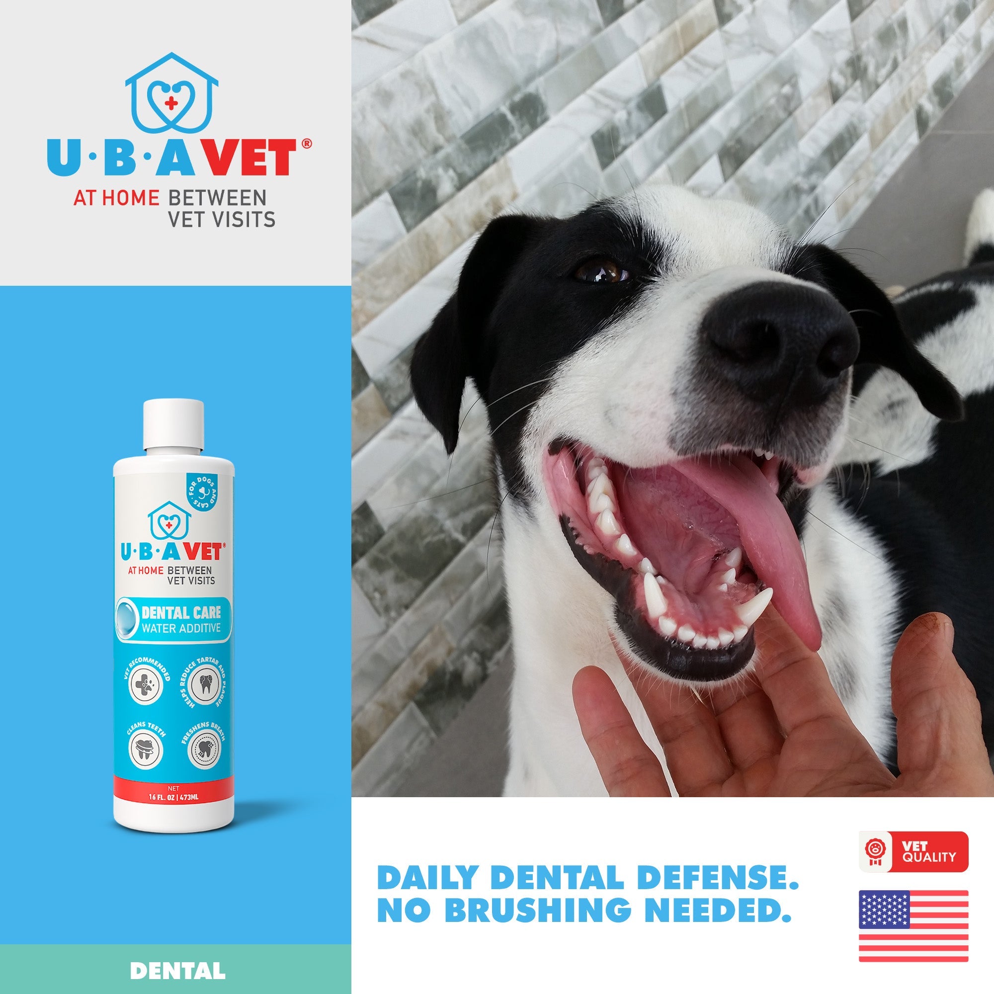 Dental Care Water Additive for Dogs & Cats, 16 fl oz